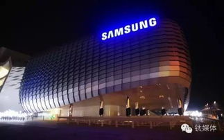 三星訂單銳減沖擊代工生態，技術咨詢助力產業轉型