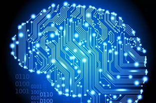 計算機科學(xué)專業(yè)分支與學(xué)位解讀